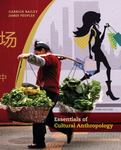 Essentials of Cultural Anthropology by James G. Peoples and Garrick Bailey