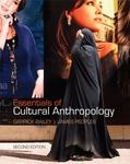 Essentials of Cultural Anthropology by James G. Peoples and Garrick Bailey